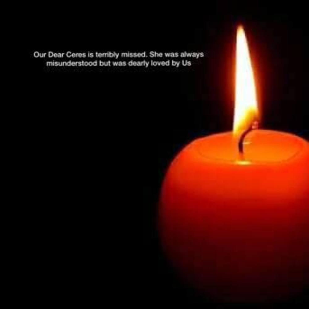 Meet your Posher, Tan